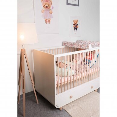 CebaBaby vystymo lenta Basic, trumpa, kieta 70 cm koala W-216-000-729 1